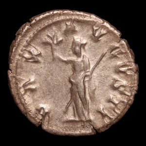 Rome, Emperor Maximinus Thrax, AR Denarius, Pax (Goddess of Peace) - 236 to 238 CE - Roman Empire