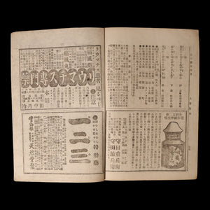 The World of Human Emotions (Graphic Novel, Year 5 Issue 34) - Meiji 33 (1900) - Meiji Japan