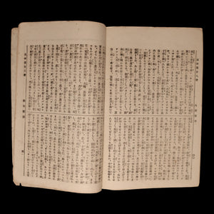 The World of Human Emotions (Graphic Novel, Year 5 Issue 28) - Meiji 33 (1900) - Meiji Japan