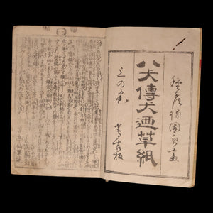 The Illustrated Legend of the Eight Dogs (Vol 5 & 6) - Meiji 3 (1870) - Meiji Japan