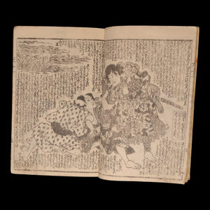The Illustrated Legend of the Eight Dogs (Vol 11 & 12) - Meiji 3 (1870) - Meiji Japan