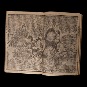 The Illustrated Legend of the Eight Dogs (Vol 13 & 14) - Meiji 3 (1870) - Meiji Japan