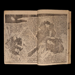The Illustrated Legend of the Eight Dogs (Vol 25 & 26) - Meiji 3 (1870) - Meiji Japan