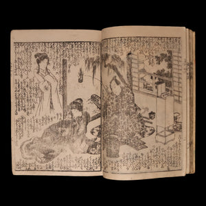 The Illustrated Legend of the Eight Dogs (Vol 25 & 26) - Meiji 3 (1870) - Meiji Japan