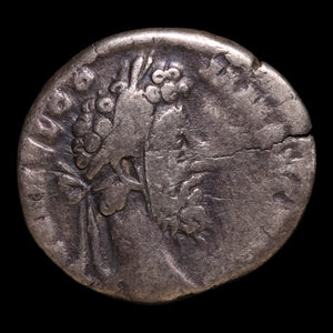Rome, Emperor Commodus, AR Denarius, Fides Militum Reverse - 192 CE - Roman Empire