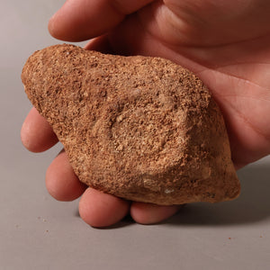 Late Roman Oil Lamp, 3.9 inches - c. 100 to 476 CE - Middle East