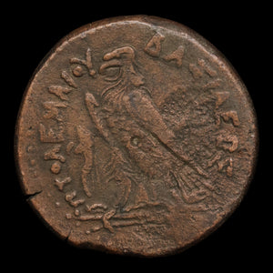 Ptolemaic Egypt, King Ptolemy IV, Extra Large Bronze Drachm, Zeus & Eagle - 221 to 204 BCE - Ancient Egypt