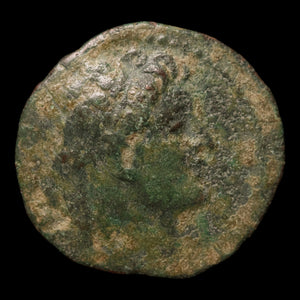 Seleucid Empire, King Alexander II, Bronze Unit, Dionysus (God of Wine) - 128 to 123 BCE - Greek World