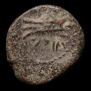 Phoenicia, City of Arados, Bronze Unit (Zeus) - c. 200 to 100 BCE - Greek World