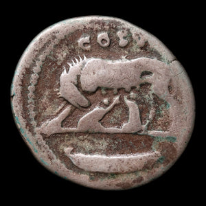 Roman Empire, Emperor Domitian, AR Denarius, Romulus & Remus - 77 to 78 CE - Roman Empire