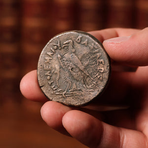 Ptolemaic Egypt, King Ptolemy IV, Extra Large Bronze Drachm, Zeus & Eagle - 221 to 204 BCE - Ancient Egypt