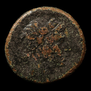 Pontus, City of Amisos, Bronze Unit, Dionysus (God of Wine) - c. 88 to 65 BCE - Greek World