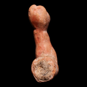 Roman Terracotta Pottery Piece (Doll Arm) - c. 1 to 300 CE - Roman Empire