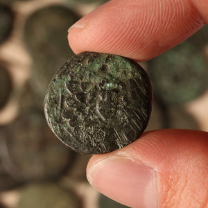 Pontus, City of Amisos, Gorgon (Medusa) Coin - 85 to 65 BCE - Greek World
