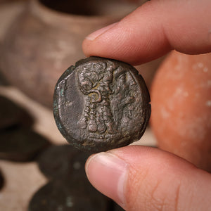 Ptolemaic Egypt, Ptolemy VI & Cleopatra I, Bronze Unit - 180 to 145 BCE - Ancient Egypt