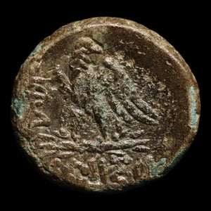 Pontus, City of Amisos, Bronze Unit, Zeus & Eagle - 120 to 63 BCE - Greek World
