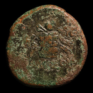 Pontus, City of Amisos, Bronze Unit, Dionysus (God of Wine) - c. 88 to 65 BCE - Greek World