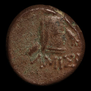 Pontus, City of Amisos, Bronze Unit, Dionysus (God of Wine) - 120 to 63 BCE - Greek World