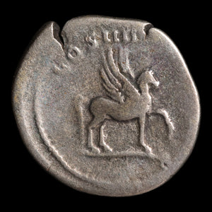 Rome, Emperor Domitian, AR Denarius, Pegasus Reverse - 76 to 77 CE - Roman Empire