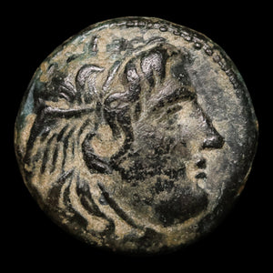 Seleucid Empire, Seleucus I Nicator, AE Unit, Medusa & Lion - c. 300 to 281 BCE - Greek World