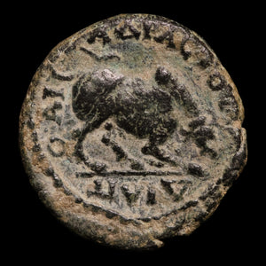 Caria, City of Trapezopolis, AE Unit, Semi-Autonomous Issue, Athena & Bull - 138 to 140 CE - Greek World