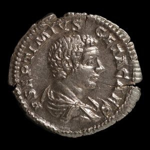 Rome, Emperor Geta, AR Denarius, Providentia (Deity of Prediction) - 203 to 208 CE - Roman Empire