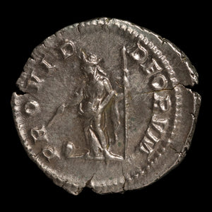 Rome, Emperor Geta, AR Denarius, Providentia (Deity of Prediction) - 203 to 208 CE - Roman Empire