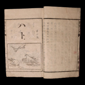 Introduction to Reading - Meiji 19 (1886) - Japan