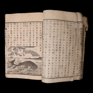 A New Abridged Geography - Meiji 20 (1887) - Japan
