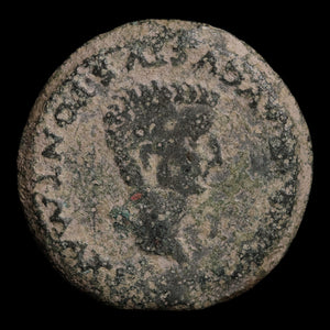Rome, Emperor Tiberius, Province of Baetica, Hispania, AE Unit - 14 to 37 CE - Roman Provinces