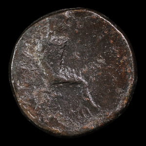 Thessaly, City of Pelinna, AE Unit, Mantho & Horseman - c. 306 to 197 BCE - Ancient Greece