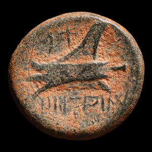Phoenicia, City of Arados, Bronze Unit (Zeus) - c. 200 to 100 BCE - Greek World