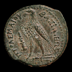 Ptolemaic Egypt, King Ptolemy III, AE Obol, Zeus & Eagle - 246 to 222 BCE - Ancient Egypt