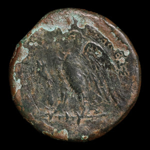 Ptolemaic Egypt, King Ptolemy II, AE Unit, Zeus & Eagle - 285 to 246 BCE - Ancient Egypt