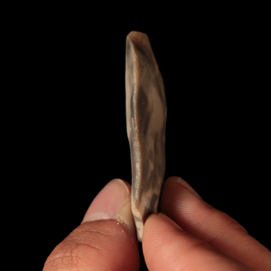 Danish Mesolithic Stone Tool #9 (2.3 inches) - c. 9000 to 5000 BCE - Denmark - 7/12/23 Auction