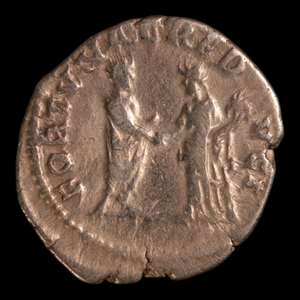 Denarius, Emperor Hadrian, Salus & Snake Reverse - 133 to 135 CE - Roman Empire - Auction 9/6/23