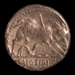 Denarius, Roman Republic, Diana & Boar - 68 BCE - Roman Republic - Auction 9/6/23