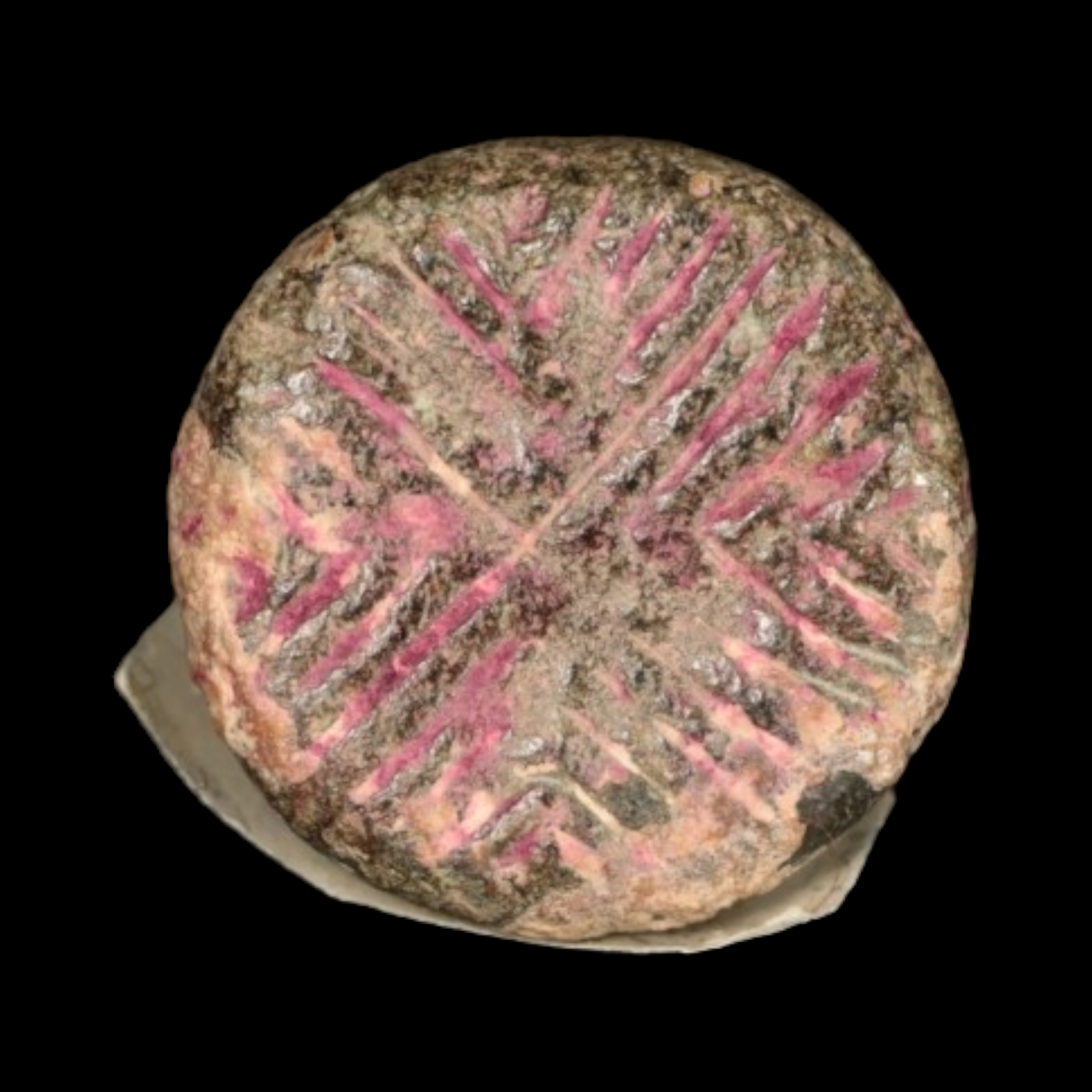 Mesopotamian Stone Seal Stamp, 15mm - c. 4000 – 3000 BCE - Western Mesopotamia - 10/4/23 Auction