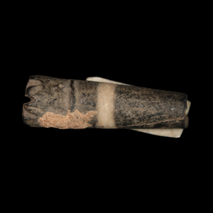 Mesopotamian Stone Seal Stamp, 25mm - c. 5000 – 4000 BCE - Western Mesopotamia - 10/4/23 Auction