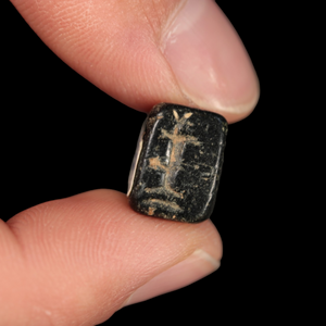 Mesopotamian Stone Seal Stamp, 16mm - c. 4000 – 3000 BCE - Western Mesopotamia - 10/4/23 Auction