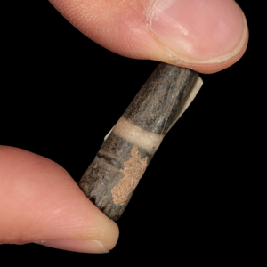 Mesopotamian Stone Seal Stamp, 25mm - c. 5000 – 4000 BCE - Western Mesopotamia - 10/4/23 Auction