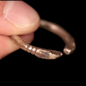 Achaemenid Empire, Serpent Headed Silver Ring - c. 530 to 350 BCE - Ancient Middle East - 10/25/23 Auction