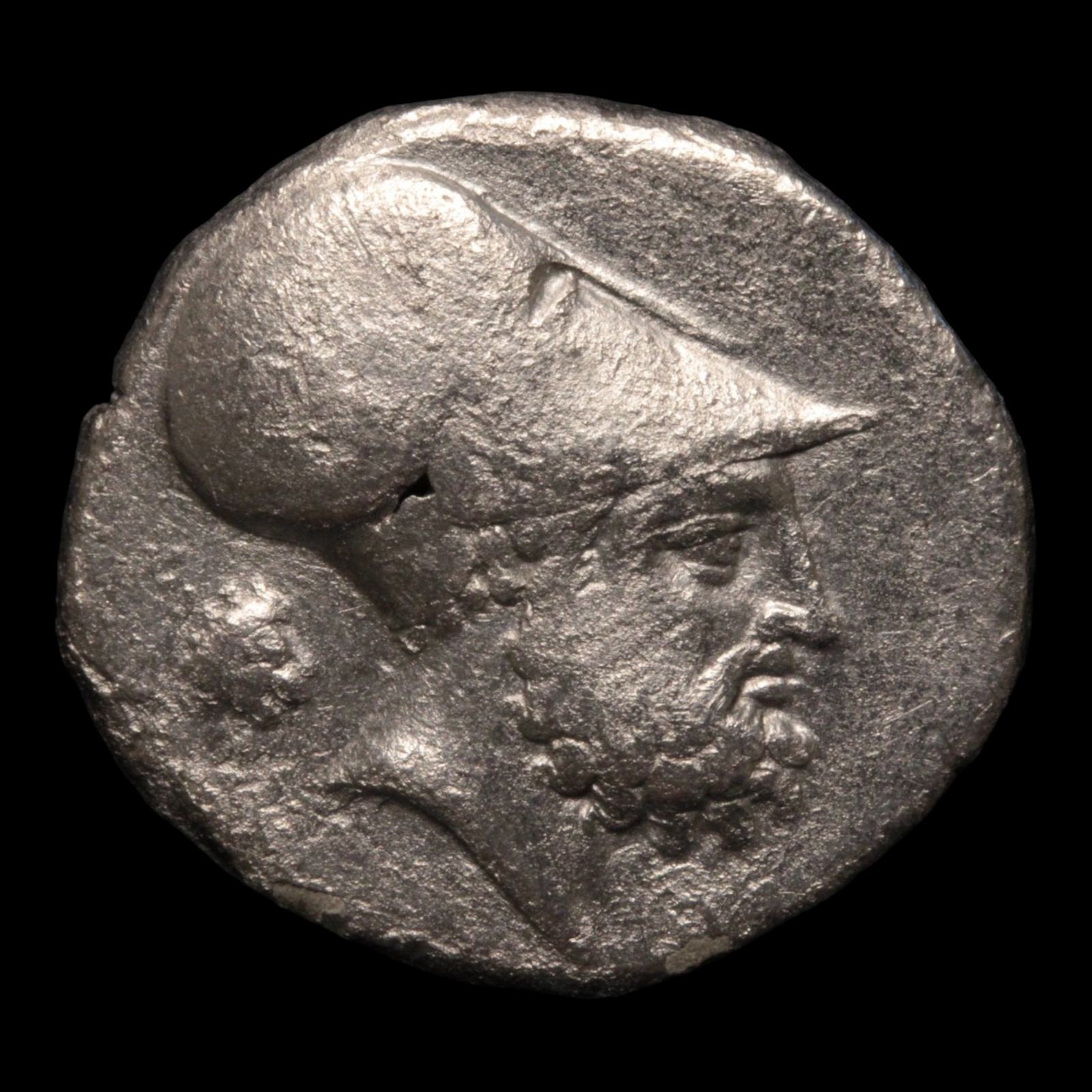 Metapontum, Greek Didrachm, Leukippos & Barley - c. 340 to 330 BCE - Magna Graecia, Italy