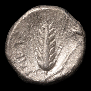 Metapontum, Greek Didrachm, Demeter & Barley - c. 330 to 280 BCE - Magna Graecia, Italy