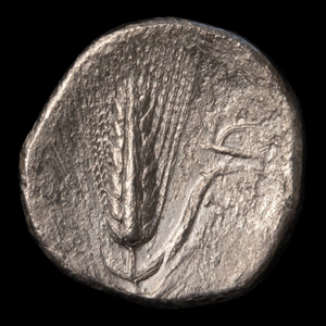 Metapontum, Greek Didrachm, Demeter & Barley - c. 330 to 280 BCE - Magna Graecia, Italy