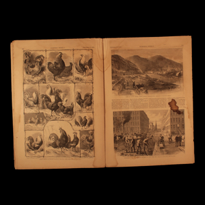 Harper's Weekly — Sept. 18th, 1869