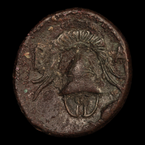 Anonymous Macedonian Bronze Half Unit - 323 to 310 BCE - Macedon/Greece - 12/6/23 Auction