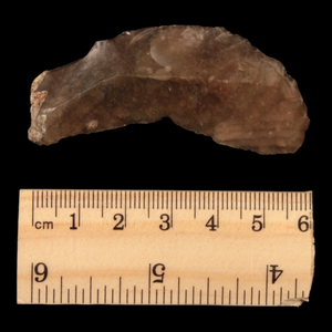 Danish Mesolithic Stone Tool, 2.4 inches (Scraper) - c. 9000 to 5000 BCE - Denmark - 1/17/23 Auction
