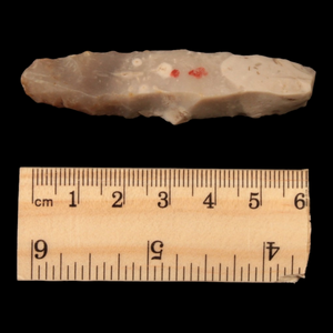 Danish Mesolithic Stone Tool, 2.5 inches (Blade or Scraper) - c. 9000 to 5000 BCE - Denmark - 1/17/23 Auction