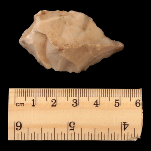 Danish Mesolithic Stone Tool, 2 inches - c. 9000 to 5000 BCE - Denmark - 1/17/23 Auction